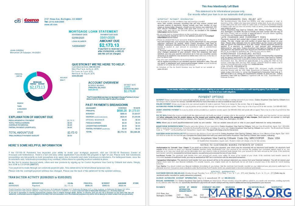 Blank USA Costco Anywhere Visa Card by Citi bank mortgage loan statement in Word and PDF formats , 4 pages template